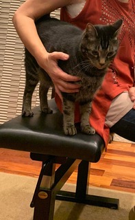 IMG_1444.jpeg