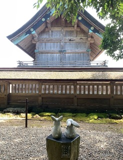 IMG_1770.jpeg