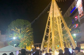 IMG_2622.jpeg
