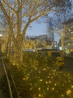 IMG_2658.jpeg