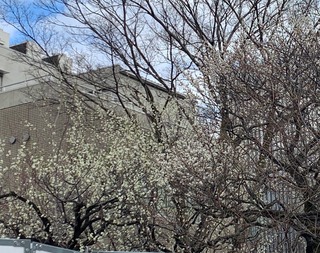 IMG_3055.jpeg