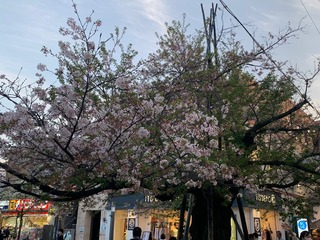 IMG_3391.jpeg