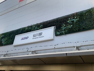 IMG_3392.jpeg