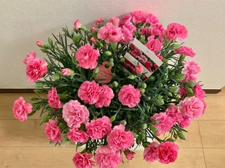 IMG_3518.jpeg