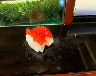 IMG_3951.jpeg