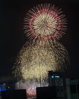 IMG_3987.jpeg