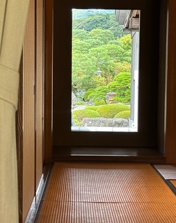 IMG_4319.jpeg