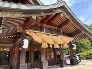IMG_4331.jpeg