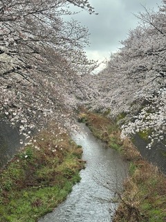 IMG_6038.jpeg