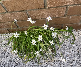 IMG_6083.jpeg
