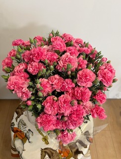 IMG_6267.jpeg