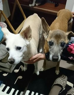 _20171209_224418.JPG