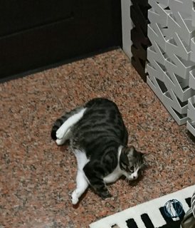 _20171209_224442.JPG